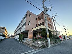 セルバ