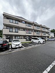 ウィスタリア藤