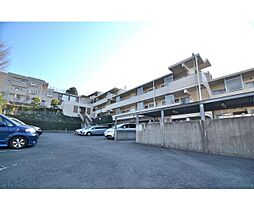 ＭＹＴ・ＰＡＲＡＣＩＯ 107