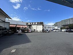 フェアリーフォレスト