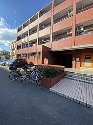 次郎丸ヴィレッタ 208