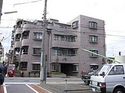 ドルフィン三鷹 204