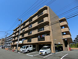 トゥワイス 503