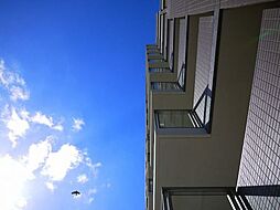 プレミスト愛宕 901