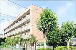 エスペランサ 204