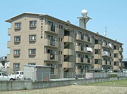 ロイヤルハイツ泉 101