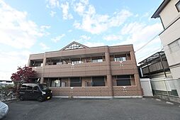 ブラウニーピア