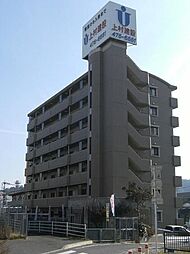 シュロスフィールド28 105