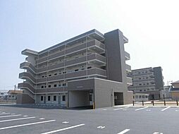 パレットたらＩ 501