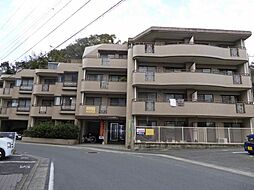 グランドハイム和白 202