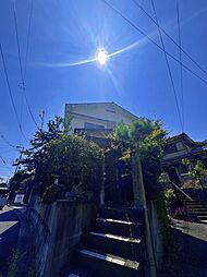 上野芝向ヶ丘町3丁戸建