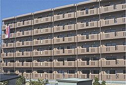 ユーミーＫＡＷＡＫＵＢＯ 106