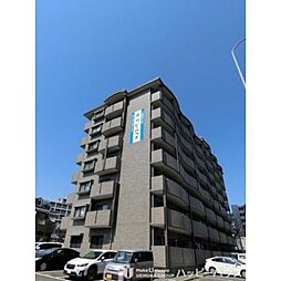 シャトレ天拝 302