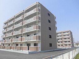 パレットたらＩＩ 305