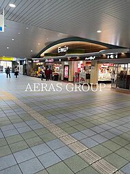 エルスタンザ東久留米 100