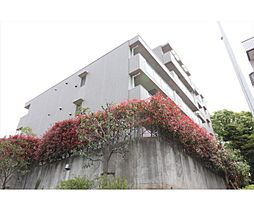 シャトーイノハナ 704