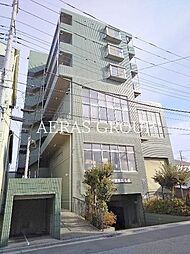 オリーブ