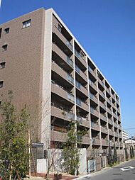 サーパス別府四丁目 403