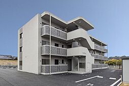 ラディーチェ 203