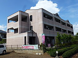 スマイル花水木 101