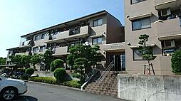 ラフィネ栗平 108