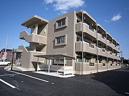 Ｙ＆Ｍティースマイル 102