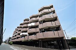 ドメス稲田堤 501