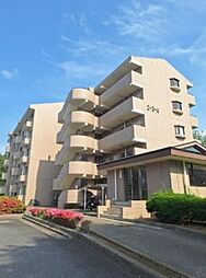 サクラファミリア