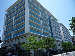 リングローブ 705