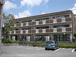 アバンデンスＪＵＮ 301