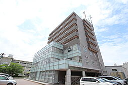 ピュアコートベル 801