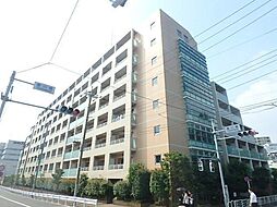 willDo清澄 506