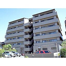 パティオ本牧 501