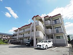 マイアネックス 205