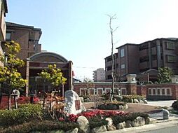 ヴィルヌーブ 2402