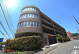 グレイスコート