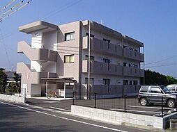 サンライズフラワーＩＩ 301