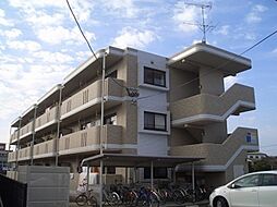 サンフィールド高鍋ＩＩ 202