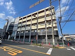 スタールミエールワッフル 506