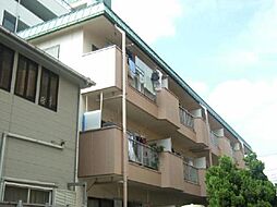 越ゴールデンフラット