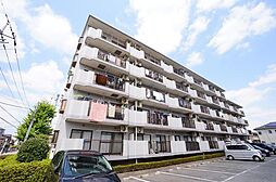 ゴールドクレスト 207