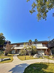 Ｔｈｅ　Ｖｉｌｌａｇｅｓ