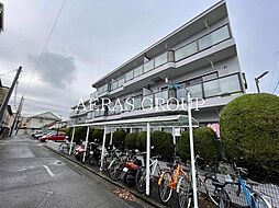 グリーンシャイン芝