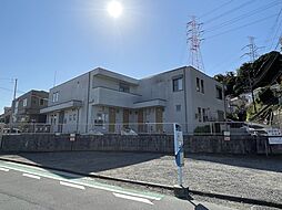 アフェクティオＡ 202