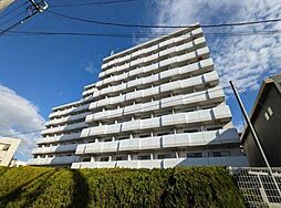 アレックス日乃本
