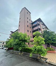 パストラル羽衣