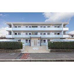 ヴァンヴィータ 303