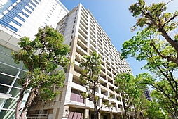 晴海アーバンプラザ 1114