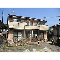 アムール仲町台 1