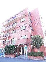 コーラルスターガーデン